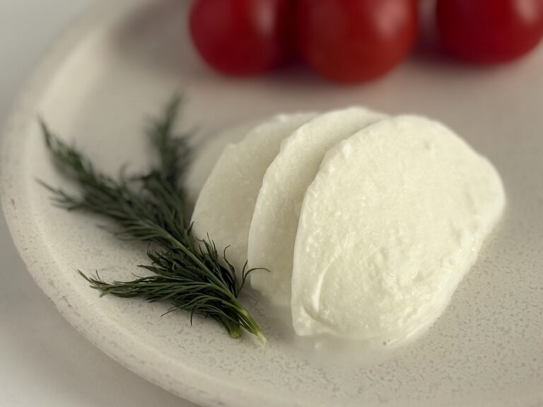 トリデンテモッツァレラプレート